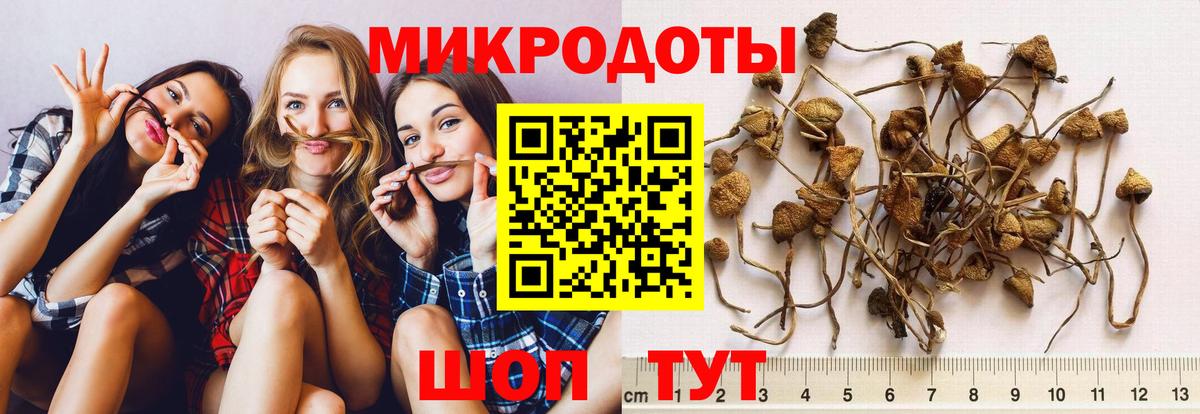 Аксай  купить  сайты  Вход с VPN  Галлюциногенные грибы мицелий 